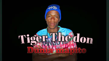 Tiger The don - Dunia mapito (Official Audio)
