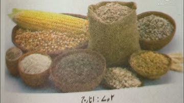 Bridge course | Day 8 | Std 7th | Science | Deshmukh Fauziya Sultana | Sunbeam Creations |