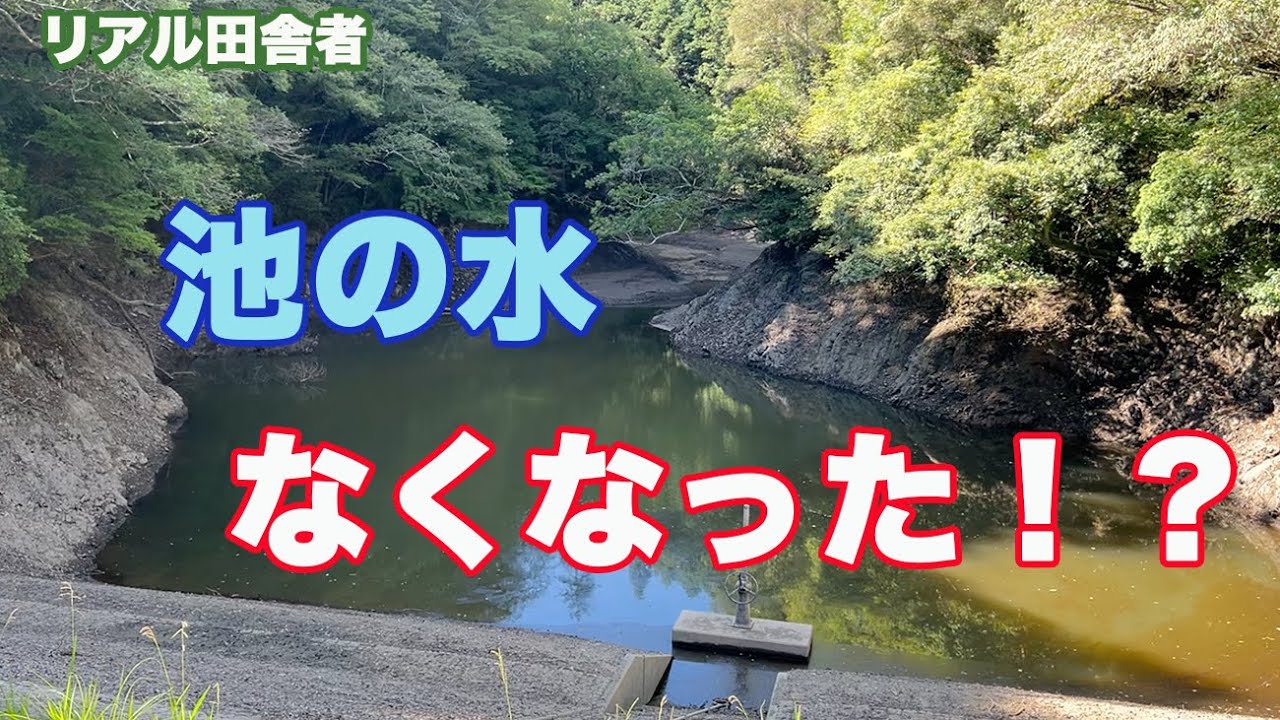 雨降らなくて水がなくなってきました・・・