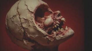 BRAIN ROT / The Death of Compassion