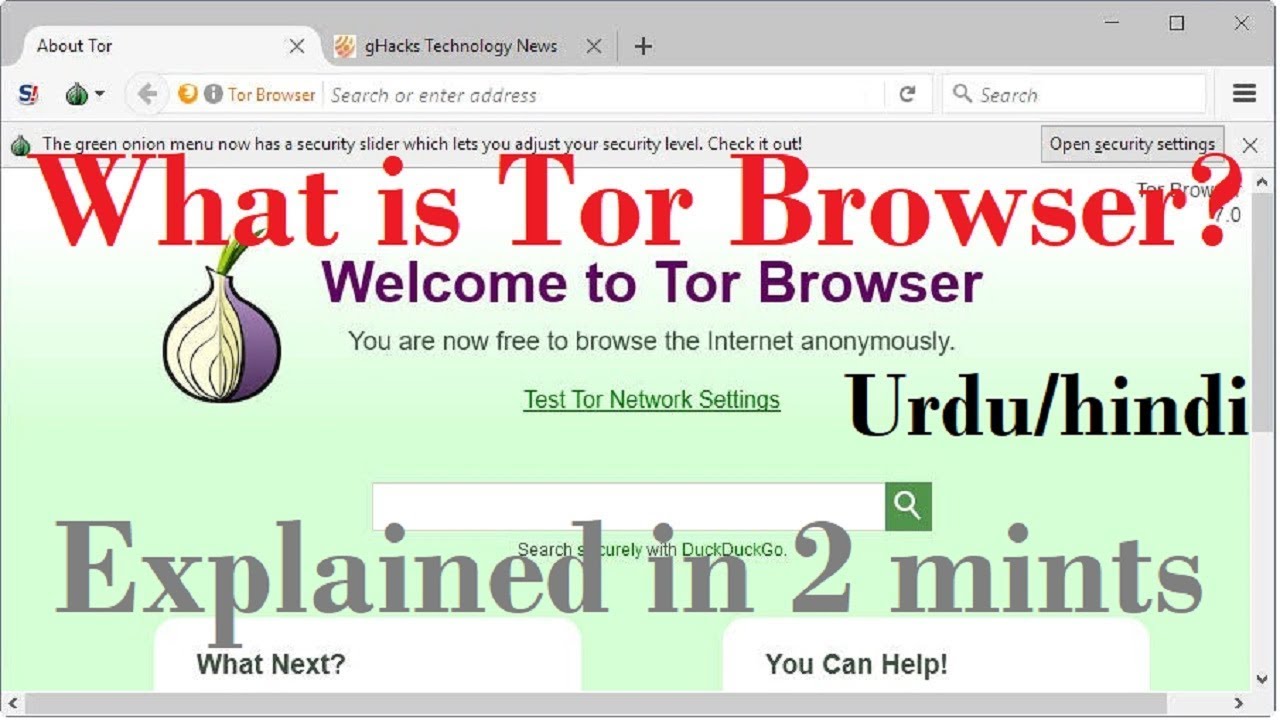 what is tor brwoser by technology taleem [urdu/hindi]