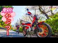 【ハンターカブCT125とクロスカブCC110】カブ2台で都内の桜めぐり~クロスカブでUターンの応酬!