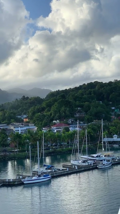 Welcome To Jamaica 🇯🇲 #jamaican #reggae #music #jamrock