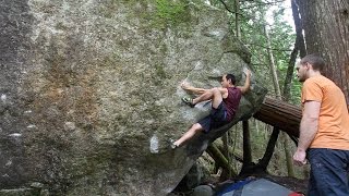 The Fuzz V7