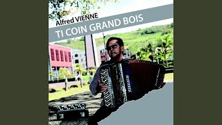 Video thumbnail of "Alfred Vienne - Fais danse a nous"