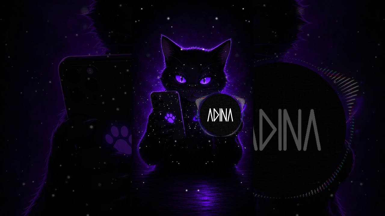 Source artwork associated with Adina Sound