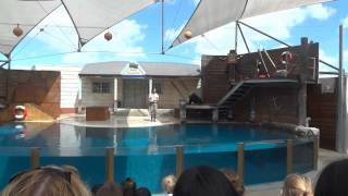 Dagge Down Under: Part 23: Taronga Zoo (+Bird- and Seal-show)