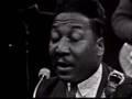 Muddy Waters - You Can&#39;t Loose What Your Never Had