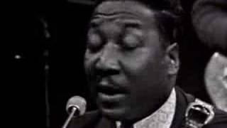Video thumbnail of "Muddy Waters - You Can't Loose What Your Never Had"