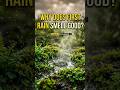 Why First Rain Smells So Good? | Petrichor &amp; Geosmin Science