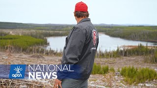 First Nation in B.C. says no more logging unless companies have its consent | APTN News