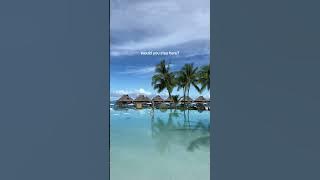 The Best Resort in Bora Bora #ytshorts #travel #luxurytravel #borabora #viral #youtubeshorts