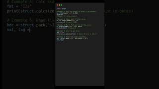 Packing and Unpacking Binary Data with struct | Daily Code Dax