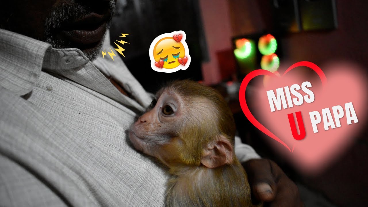 Gori  पापा के बिना नहीं रह सकती