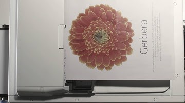 RISO SF Duplicator Video