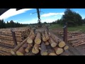 Разгрузка леса на пилораме Урал лесовоз Атлант С-90 От первого лица