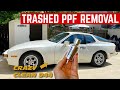 RIPPING The Side Moldings Off My $500 PORSCHE *Ceramic Coating*