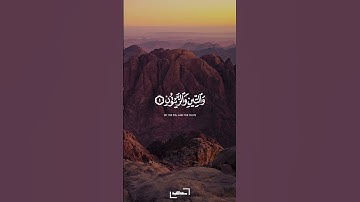 وطور سنين | سورة التين | كامل يوسف البهتيمي #quran