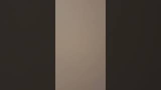 IMG 0928