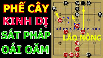 "Sát Chiêu Oái Oăm" Mãn Nhãn Sau Cú Phế Cây Thần Sầu Của Lão Nông - Cờ Tướng Siêu Kinh Điển