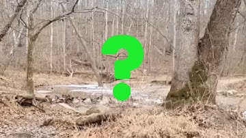 De legendarische plaat "Sierra Sounds Bigfoot Recordings" van Ron Morehead heeft eindelijk zijn g...