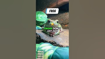 Pandas Prove You Can Sleep All Day and Still Be Loved ❤️🐼