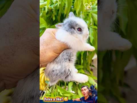Pegamos ele na corrida