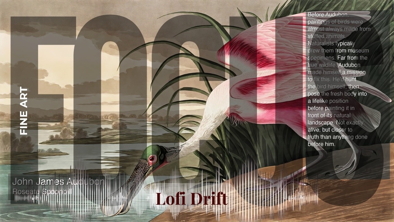 Focus - Lofi Drift with Fine Art | James Audubon · Roseate Spoonbill & others