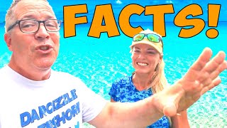 The Honest Truth Behind Fishing In The Florida Keys What Other Shows Dont Tell You