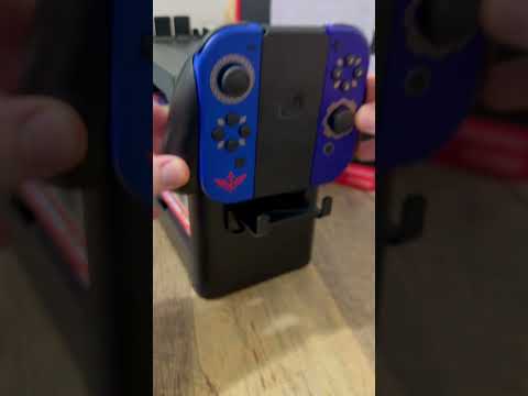 Nintendo Switch Organizer