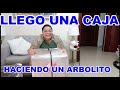 ABRIENDO LA CAJA/ ARBOLITO DE CARTON
