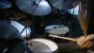 Tony Williams Lifetime Tribute -  Wild Life  ( Japan 2008 )