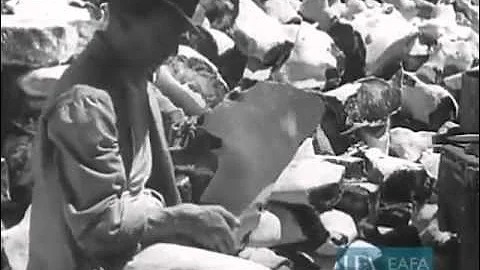 Brandon Flint Knappers 1936