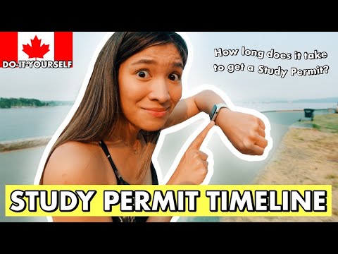 Video: Quanto tempo devi avere un permesso per studenti in Virginia?