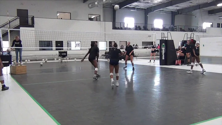 Jacquelyn Murray - 2020 Setter