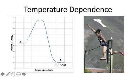 Experiment 6 Prelab Lecture
