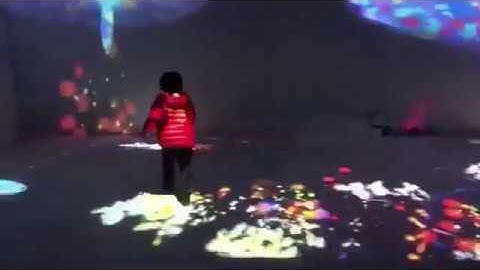 Interactive floor and wall projection software-sea world