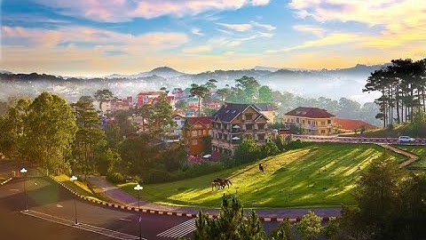 Một chiếc video Địa lí về Tây Nguyên bị nguyền rủa, khiến cho người xem khúm núm (Bài 37-Địa lí 12).