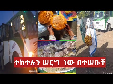 ቪዲዮ: ጄኒፈር ቲሊ ኔትዎርዝ፡ ዊኪ፣ ያገባ፣ ቤተሰብ፣ ሠርግ፣ ደሞዝ፣ እህትማማቾች