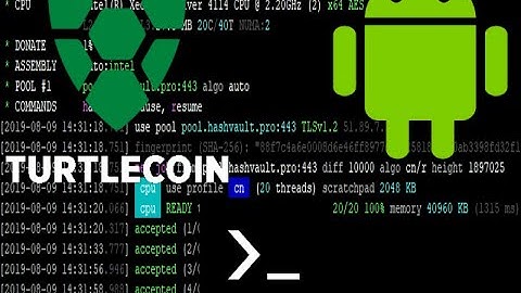 Como mineirar TurtleCoin no Android - How to Mine TurtleCoin on Android