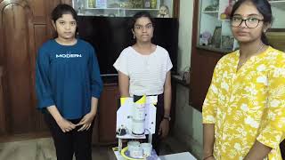 Automatic waste segregation system using aurdino 