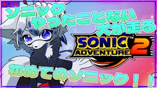 【ソニックアドベンチャー２】実はソニックやったことない犬が走る！！