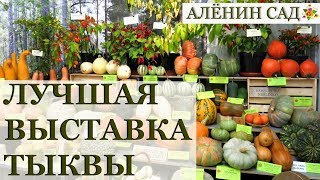 ТЫКВЫ на выставке в Музее Природы / Клуб Томат в Латвии