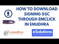 How to Download Digital Signature of eMudhra Class 2, Class 3, DGFT in ePass Auto 2003 USB Token.