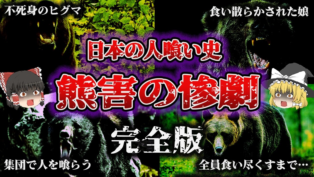 【総集編】100年分の熊害を時系列で完全網羅…「日本の悲劇の熊害事件11選」【ゆっくり解説】