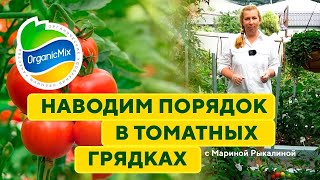 Томаты в теплице! Наводим порядок в томатных грядках. Марина Рыкалина советует!