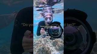 Life of an underwater photographer #scubadiving #underwaterphotography
