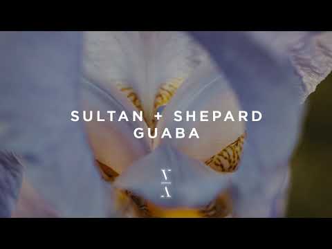 Sultan & Ned Shepard — Sultan + Shepard - Guaba