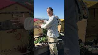 Flow Hive beekeeping takes up a small footprint