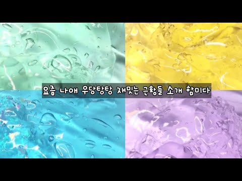 01. 요즘 나의 우당탕탕 하루 근황소개 합니다 ✌❤ / 액괴시리즈 / 소규모시리즈액괴 / 시리즈액괴 / 시액 액시 / 근황 시리즈 🍬❤